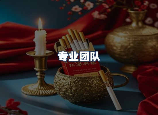 专业团队